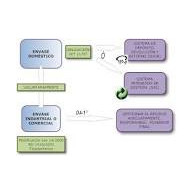 GRANZA Relene 1020FA20