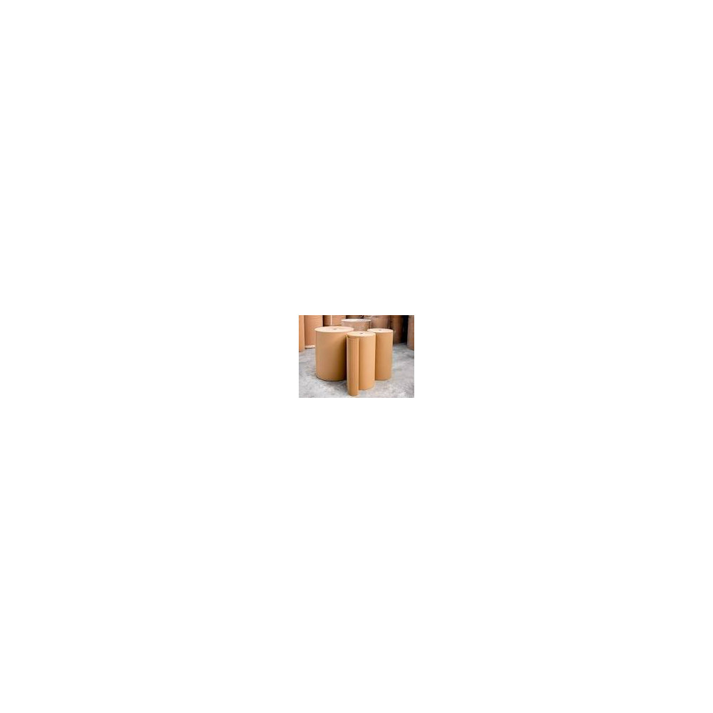 CARTON ONDULADO 1 X 100ml.