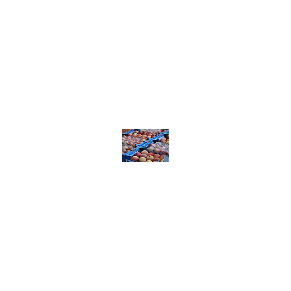ALVEOLO PP 59/39 28-AZUL (500UD)