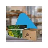 CAJA CARTON 800X800X1000