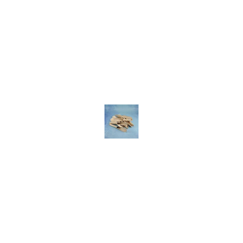 CUCHARILLA BIODEGRADABLE 10paqX100ud