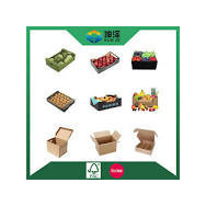 CAJA CARTON PEQUEÑA