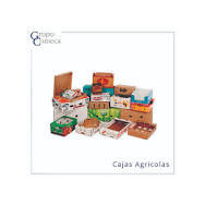CAJA CARTON MEDIANA