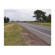 BORROCHA PR12 DOBLE + PLASTICO m2