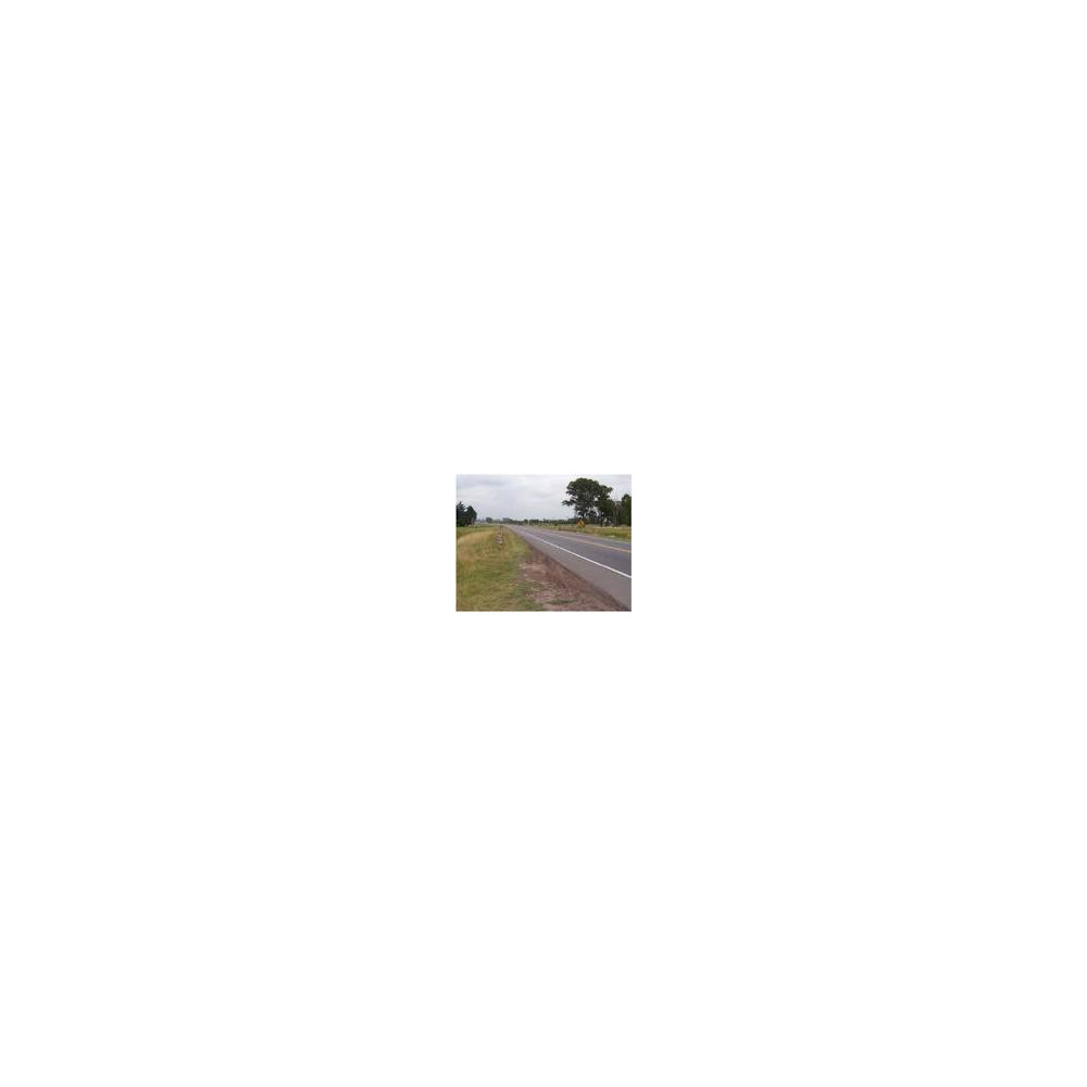 BORROCHA PR12 DOBLE + PLASTICO m2