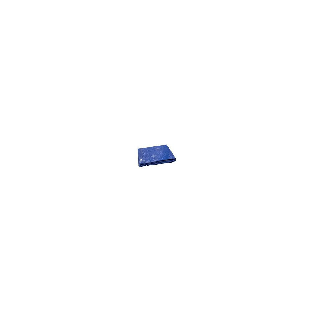 COLCHONETA LONA AZUL 2.90 X 1,05 + OLLADOS