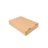 BOLSA ASA KRAFT ASA RETORCIDA 28+17X29 250UD