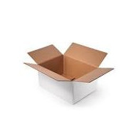 BOLSA PAPEL BLANCA ASA RETORCIDA 32X12X41 250UD