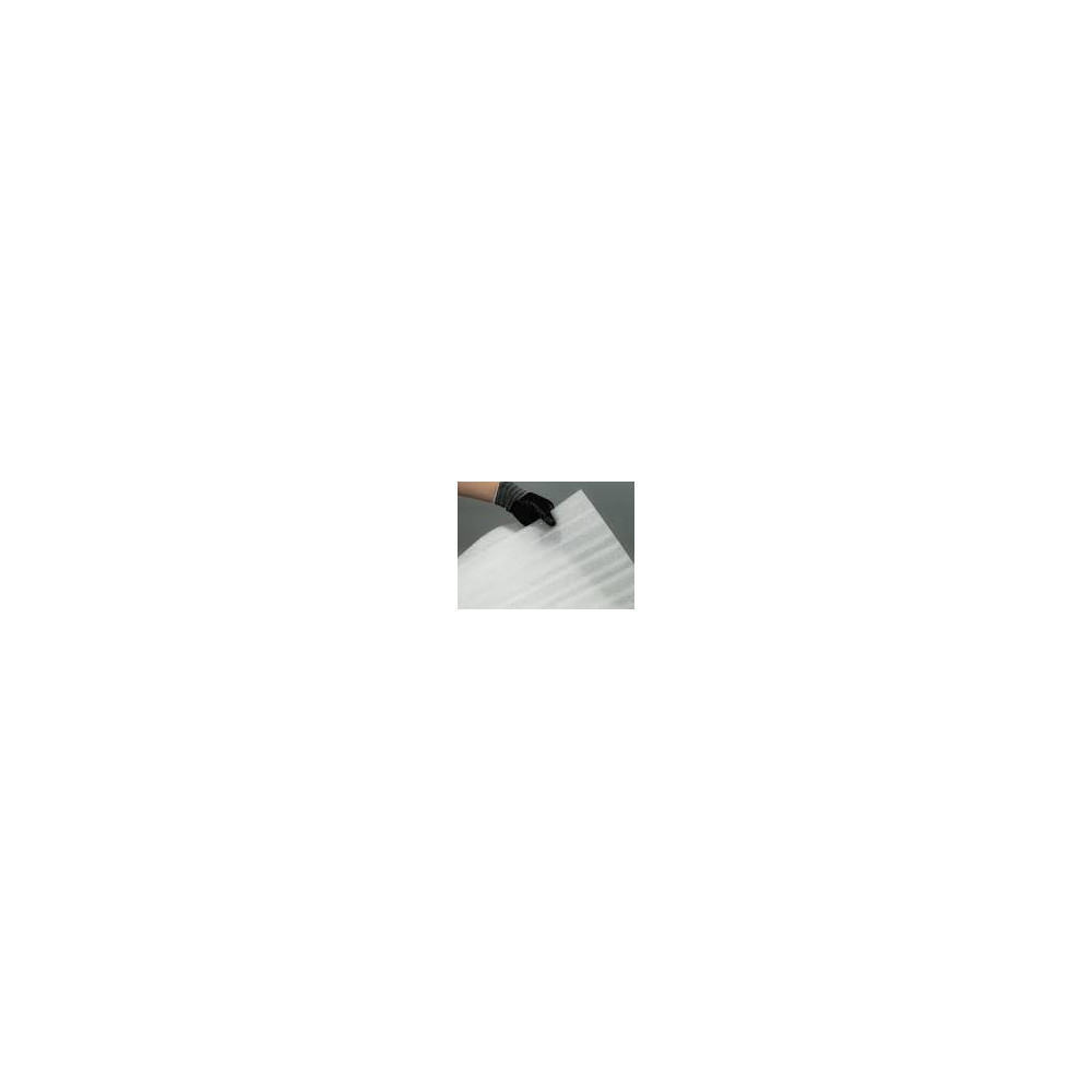 FORMATO FOAM 53cm X 56cm MILLARES