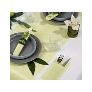MANTEL NOVOTEX ROLLO 0.40X48 PISTACHO 6 UD.