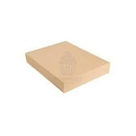 BANDEJA CARTON A-4 13X45 "Brazo" 100UD.